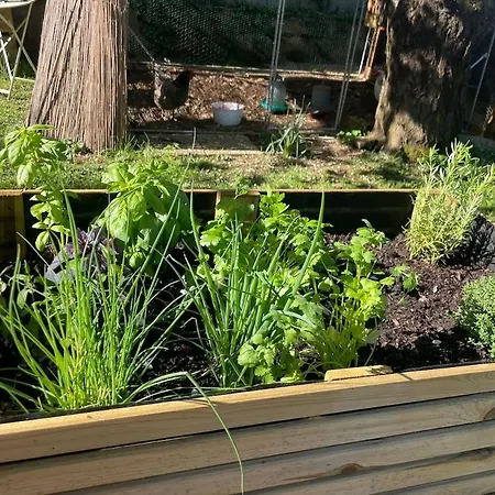 Apartment Independent With Terrace And Garden *