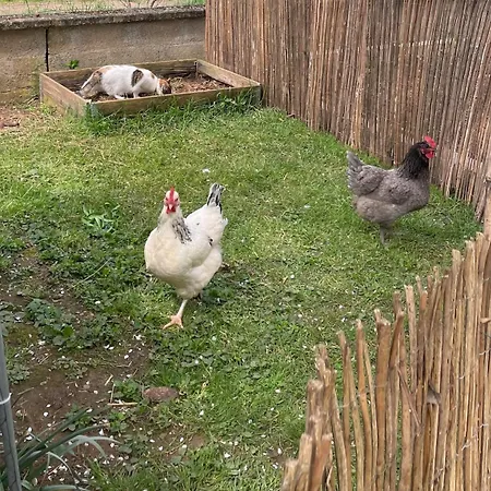 Independent With Terrace And Garden Poitiers