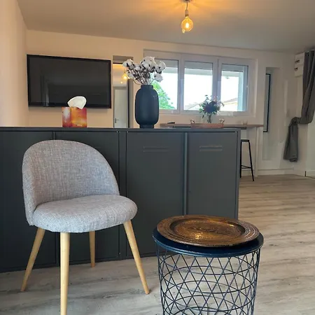 Independent With Terrace And Garden Poitiers